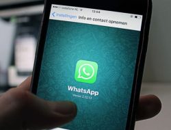 WhatsApp Bakal Luncurkan Fitur Business Search